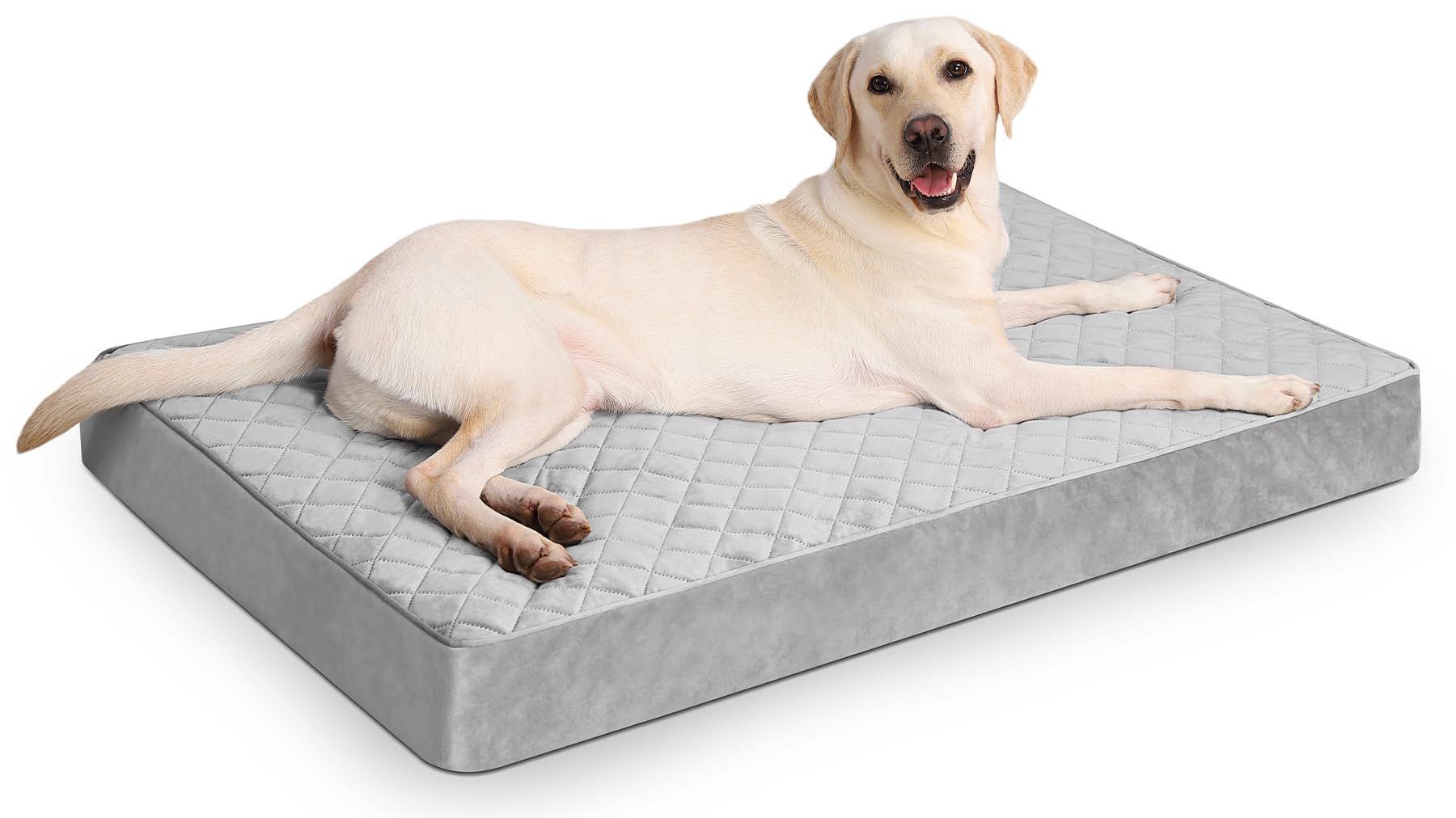 Nupida Jumbo Dog Bed - Extra Large, Orthopedic With Removable Washable Cover, Non-Slip Bottom, Suitable For Crate, 53X36 Inch, L