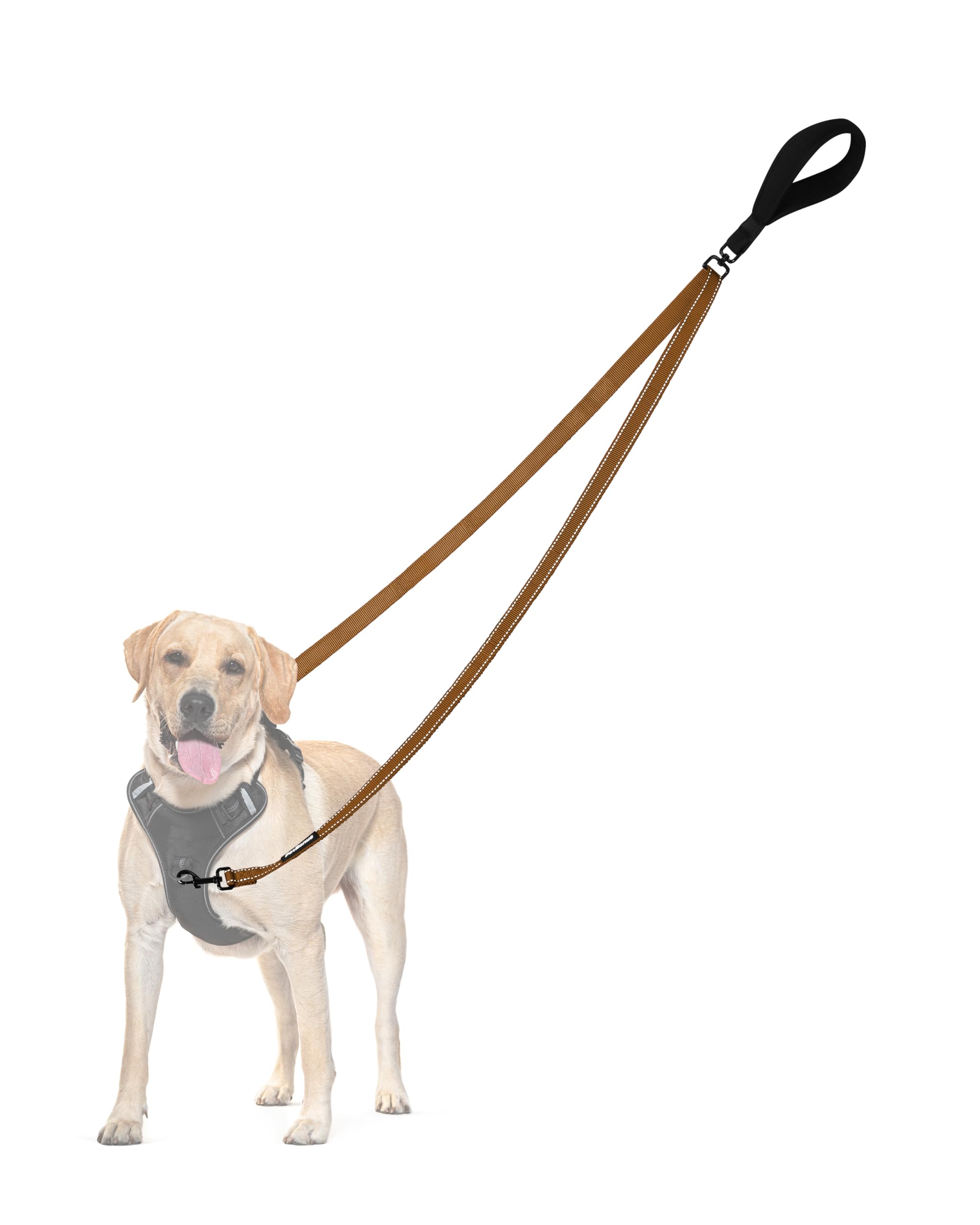 Petbonus Two Point Control Dog Leash, Works With No Pull Harnesses, No Tangle Dog Training Leashes, No Pull Padded And Reflectiv