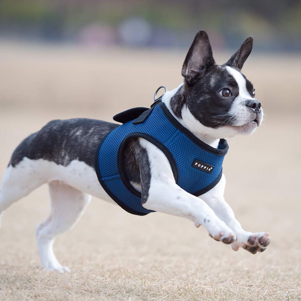 PUPPIA International Puppia Harness Soft B Vest Royal Blue XSmall