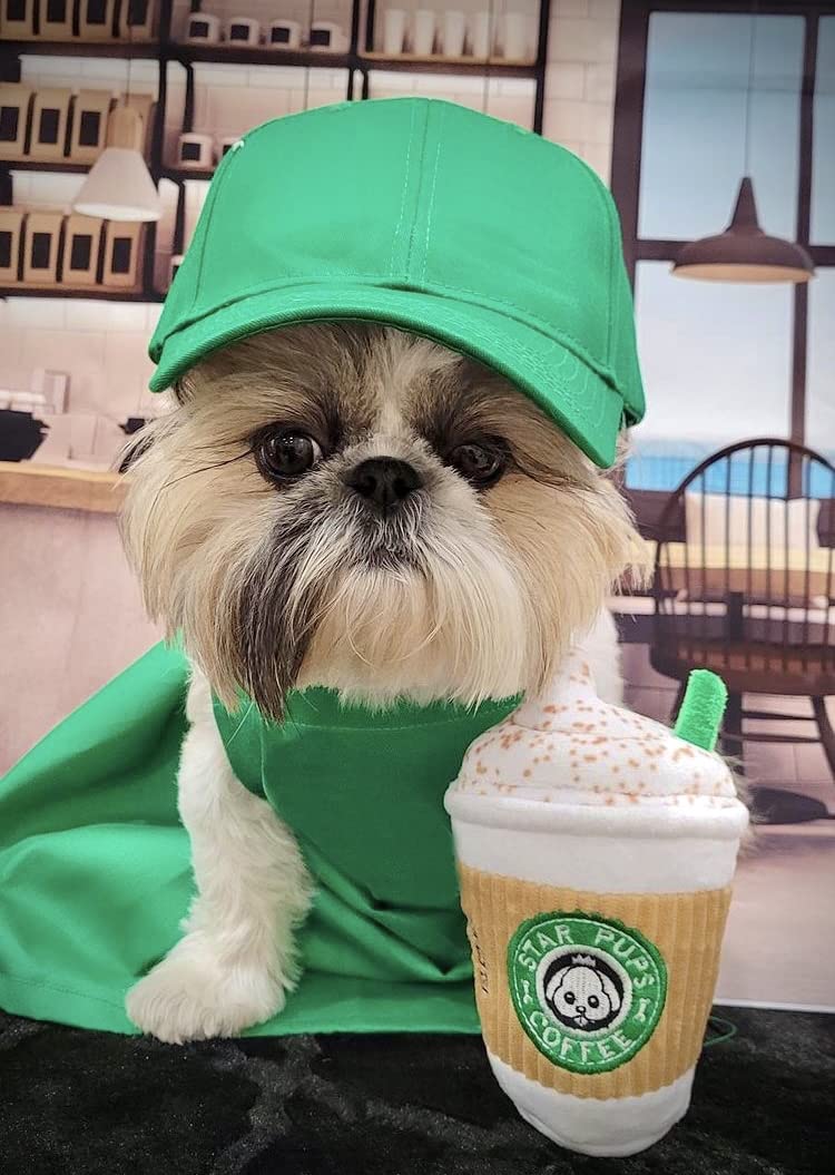 Parody Star Pups Coffee Dog Toy Pup'Kin Spice Latte - Fall Funny Parody Plush Squeaky Holiday Toys For Medium, Small And Large -