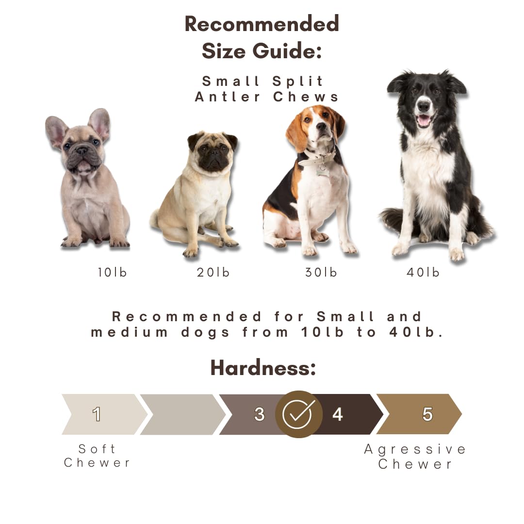 WhiteTail Naturals - Premium Split Elk Antlers for Dogs - (3 Pack Small to Medium) - All Natural, Dog Chew Bones - Naturally She