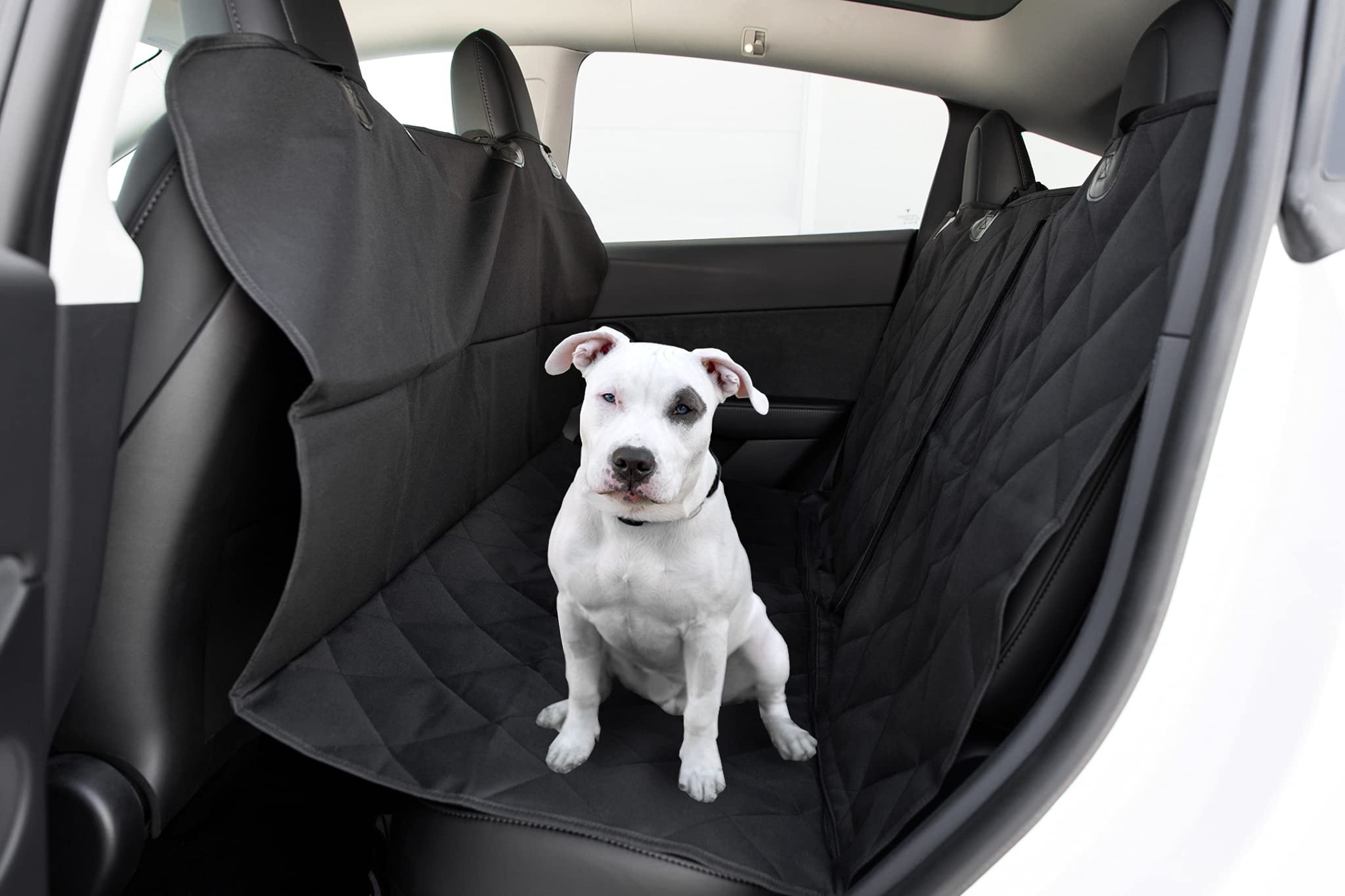 EVANNEX Rear Seat Pet Cover for Tesla Model 3 and Model Y - Seat Cover - Pet Seat Cover (w/o Leash)