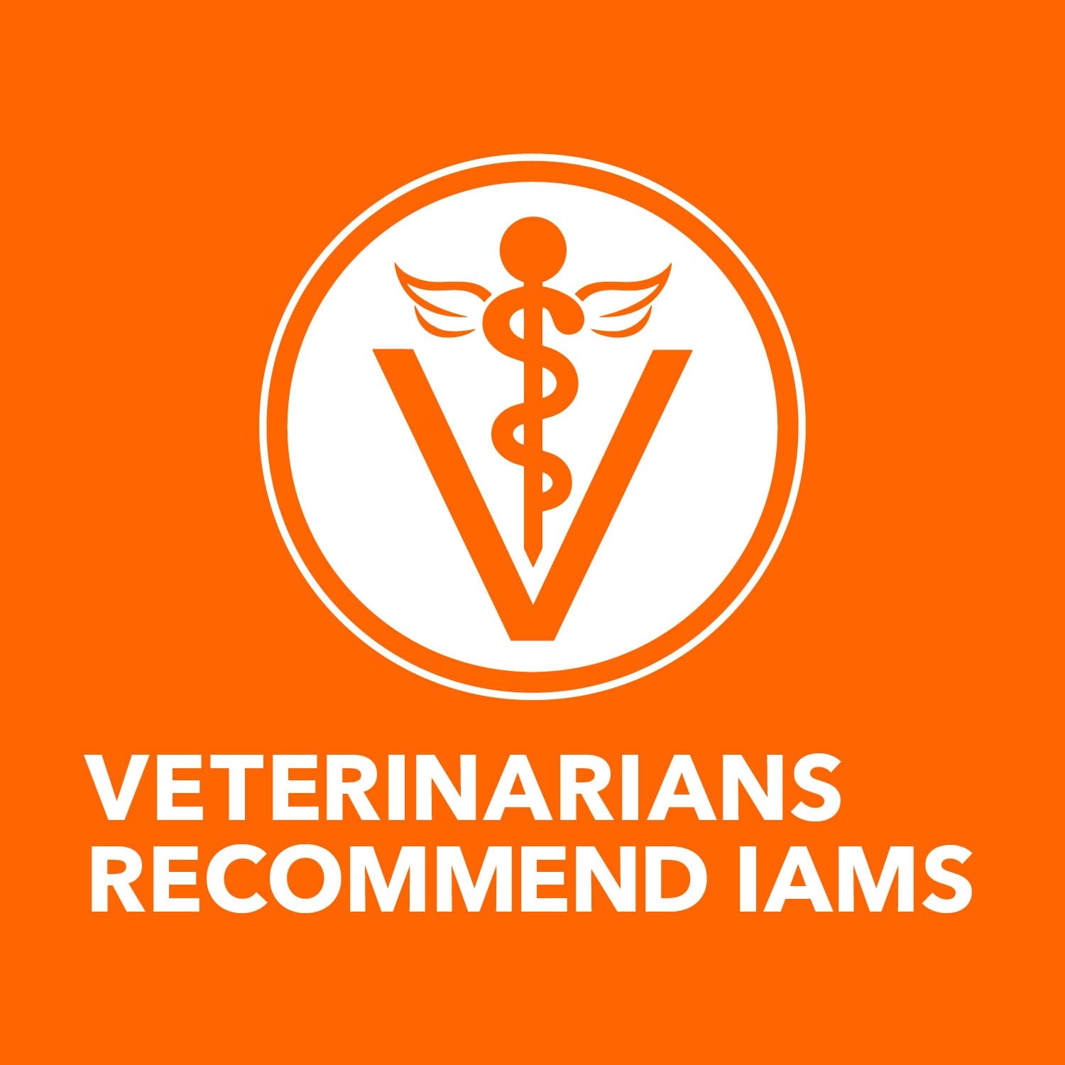 IAMS PROACTIVE HEALTH Healthy Senior Dry Cat Food with Chicken Cat Kibble, 3.5 lb. Bag