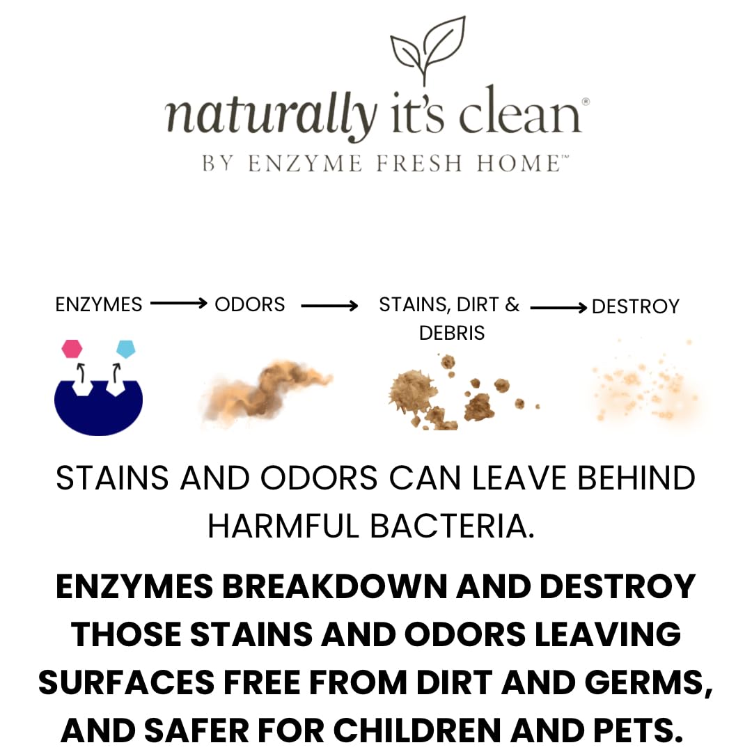 Naturally It'S Clean Enzyme Pet Stain & Odor Remover | Plant-Based Cleaner For Dog Poop, Cat Urine, Vomit & More | Powerful Odor