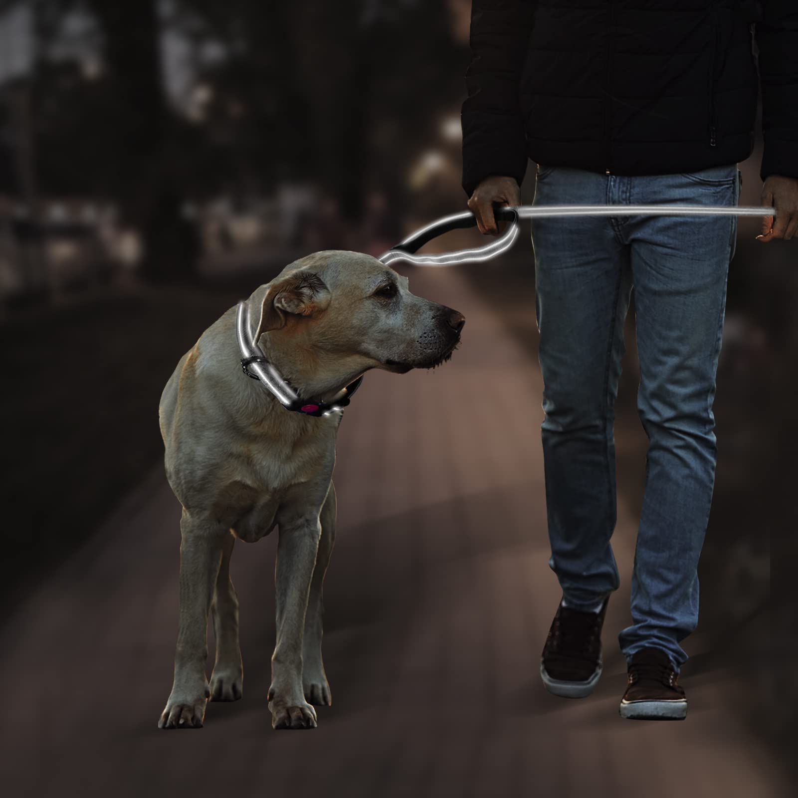 Tpotato Reflective Dog Collar And Leash Set,Adjustable Neoprene Padded Nylon Collars, 6 Ft Heavy Duty Dog Leash 2 Comfortable Ha