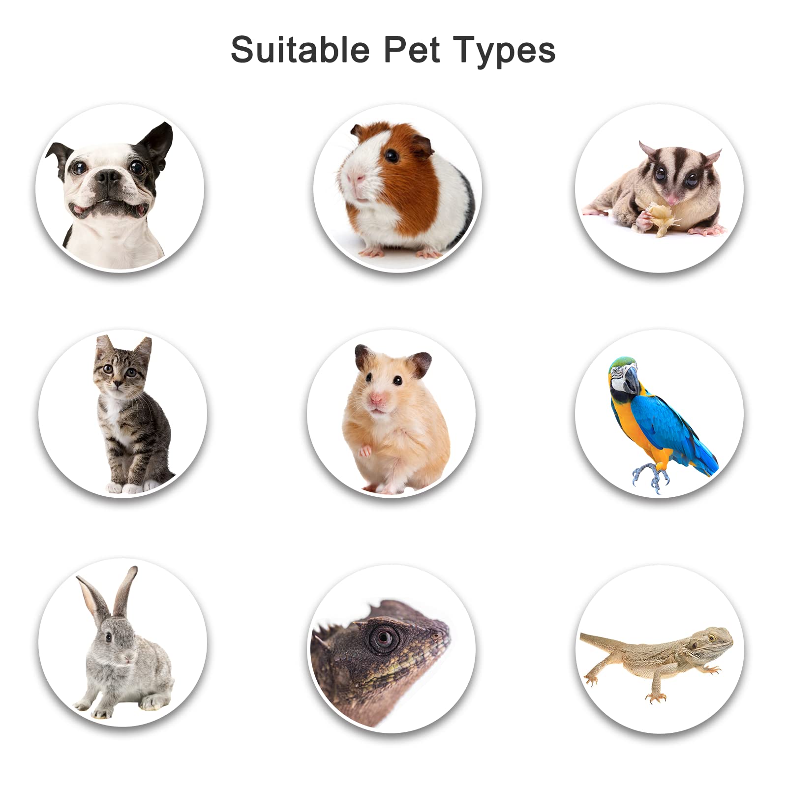 Outdoor Cat Enclosures, Portable Cat Tent For Bearded Dragon, Dogs And Small Animals, Cat Outdoor Tent With Foldable Bag(Dark Gr