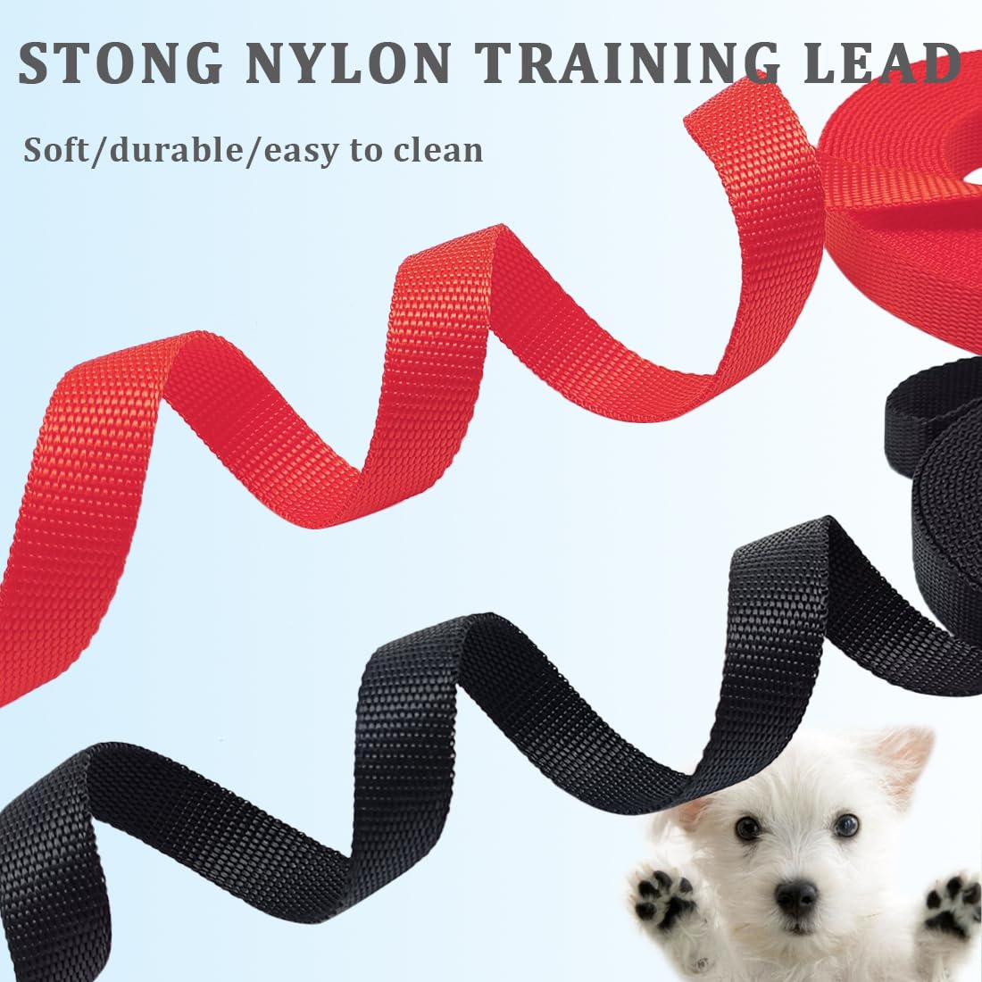 Wyuze 2 Pack Flat Nylon Dog Leash, 6/10/20/30/50 Ft Long Recall Training Lead, 3/4 Inch Wide Traditional Leash For Small Medium