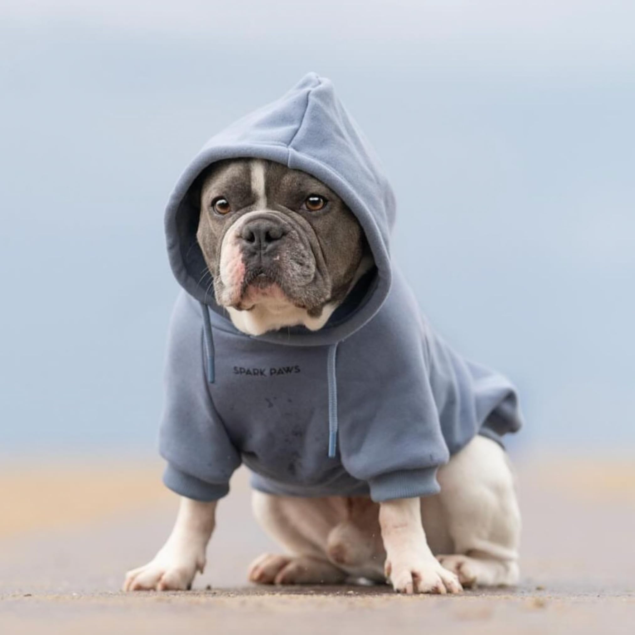 Spark Paws Dog Hoodie - Premium Quality, Buttery Soft, Superior Comfort And Fit, Calming Fleece Interior, Suitable For All Breeds - Slate Blue - S
