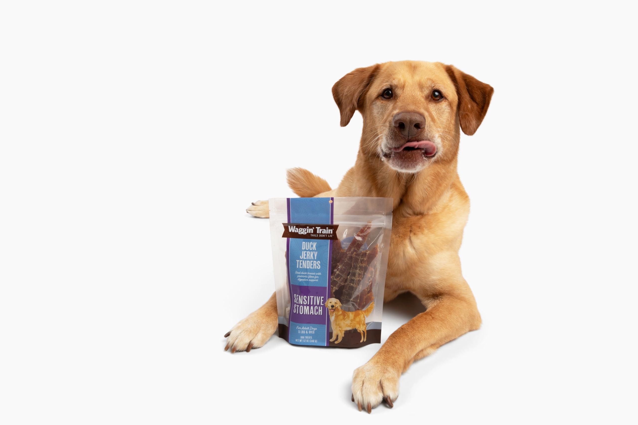 Waggin Train Duck Jerky Tenders for Sensitive Stomach for Dogs - 12 oz Pouch - Grain Free, High Protein Dog Treat