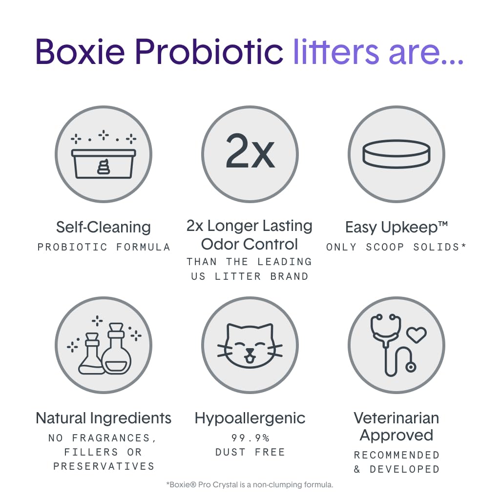 Boxie Probiotic Cat Litter, 40-Day Odor Control, Non-Clumping, Dust-Free, Crystal, 6lb, Multi-Cat