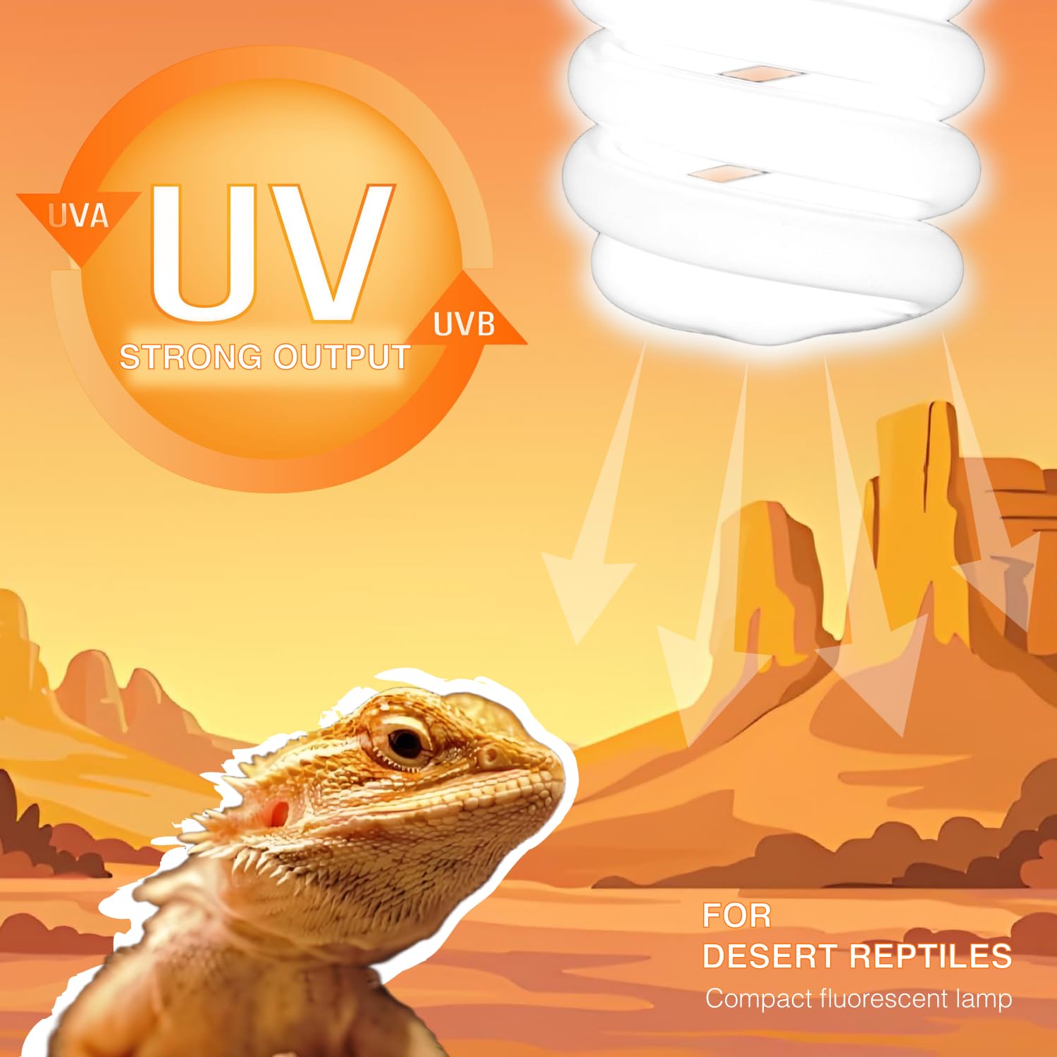 Mrreptile Uvb Reptile Lamp Light, 24W 10.0 Uvb Bulb Light For Reptiles, Uva Uvb Reptile Light, Desert Reptiles Uvb Lamp For Bear
