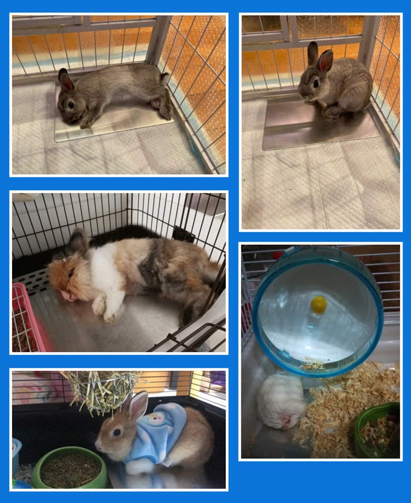 Comtim Pet Cooling Mat For Rabbit Hamsters, Self Cooling Mat Pad For Hamster Guinea Pig Chinchilla Kitten Cat And Other Small Animals, Pet Cool Plate Ice Bed - Perfect For Hot Summer Weather, S