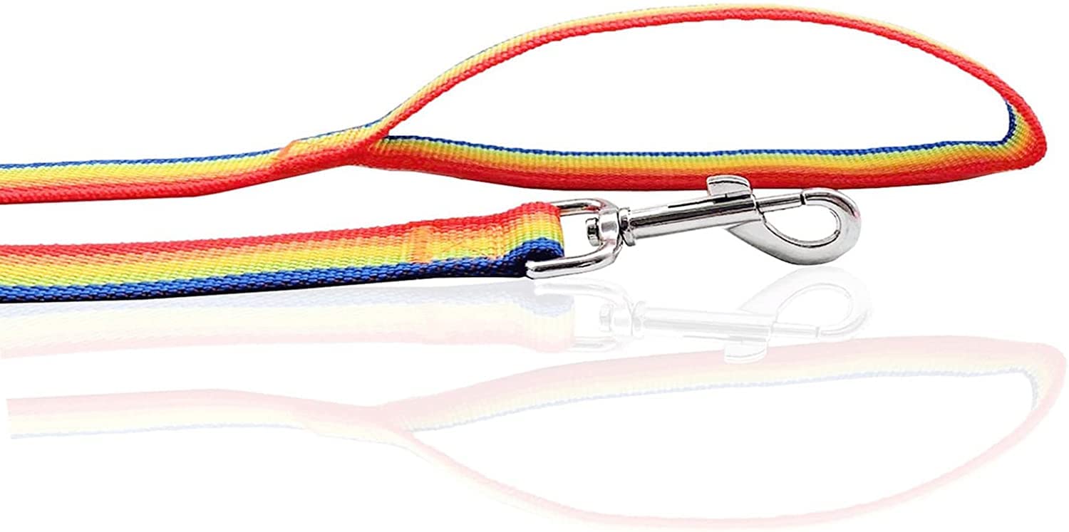 Nylon Dog Leash 4 Ft 5 Feet 6 Foot Long, Walking Training Dog Leashes For Medium Large Dogs, 1 Inch Wide (5/8'' X 6 Ft, Rainbow)