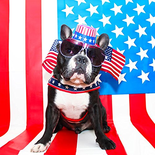 Comfortflex Martingale Collar - Made In The Usa - 1 Inch Wide, Reflective, Adjustable, Fully Padded Nylon, Gentle Control, Escap