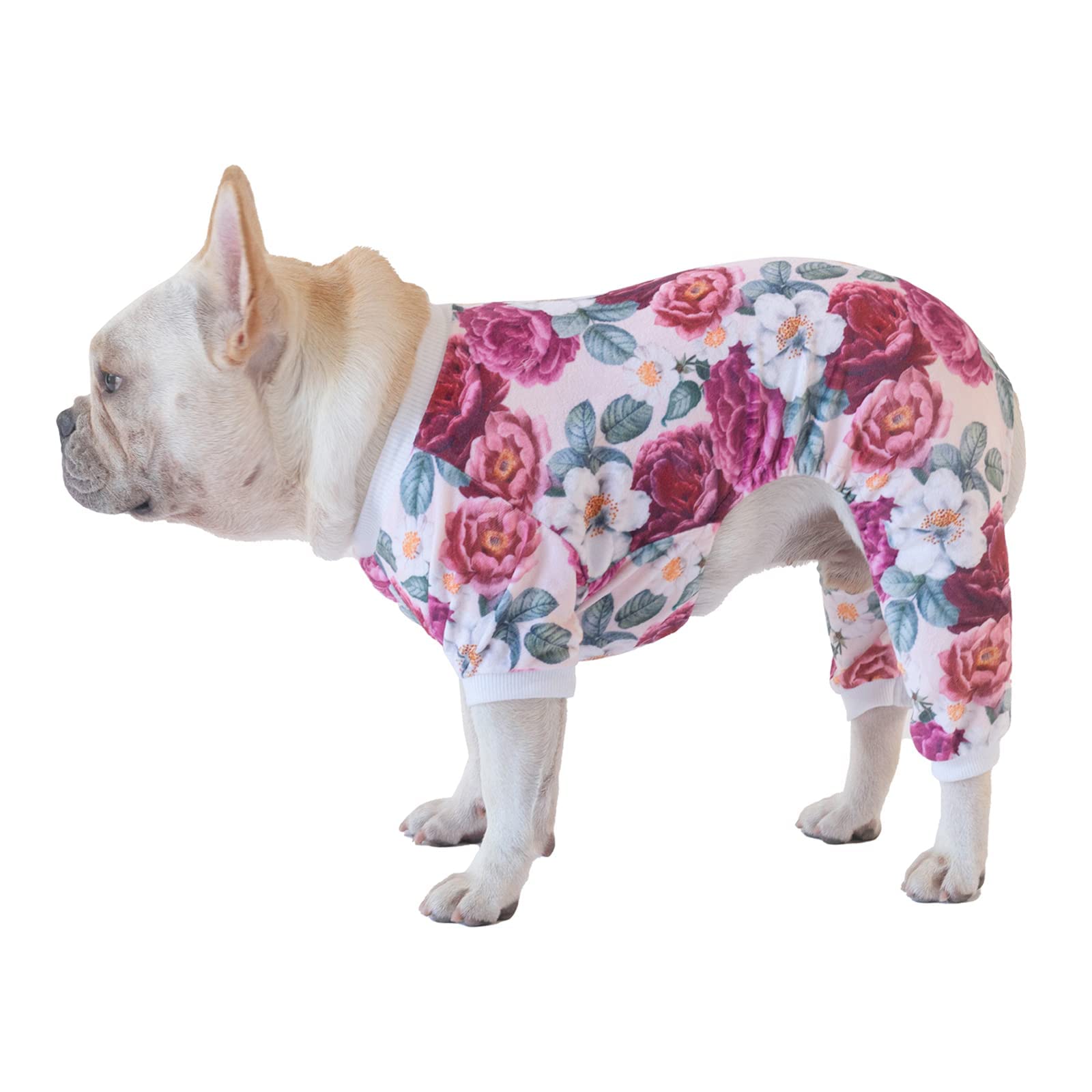 Cutebone Dog Pajamas Flower Puppy Clothes Soft Pjs Birthday Outfit Girl P178L Large