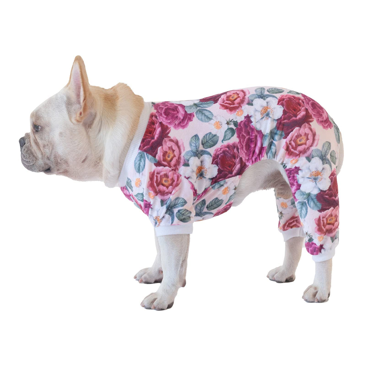Cutebone Dog Pajamas Flower Puppy Clothes Soft Pjs Birthday Outfit Girl P178L Large