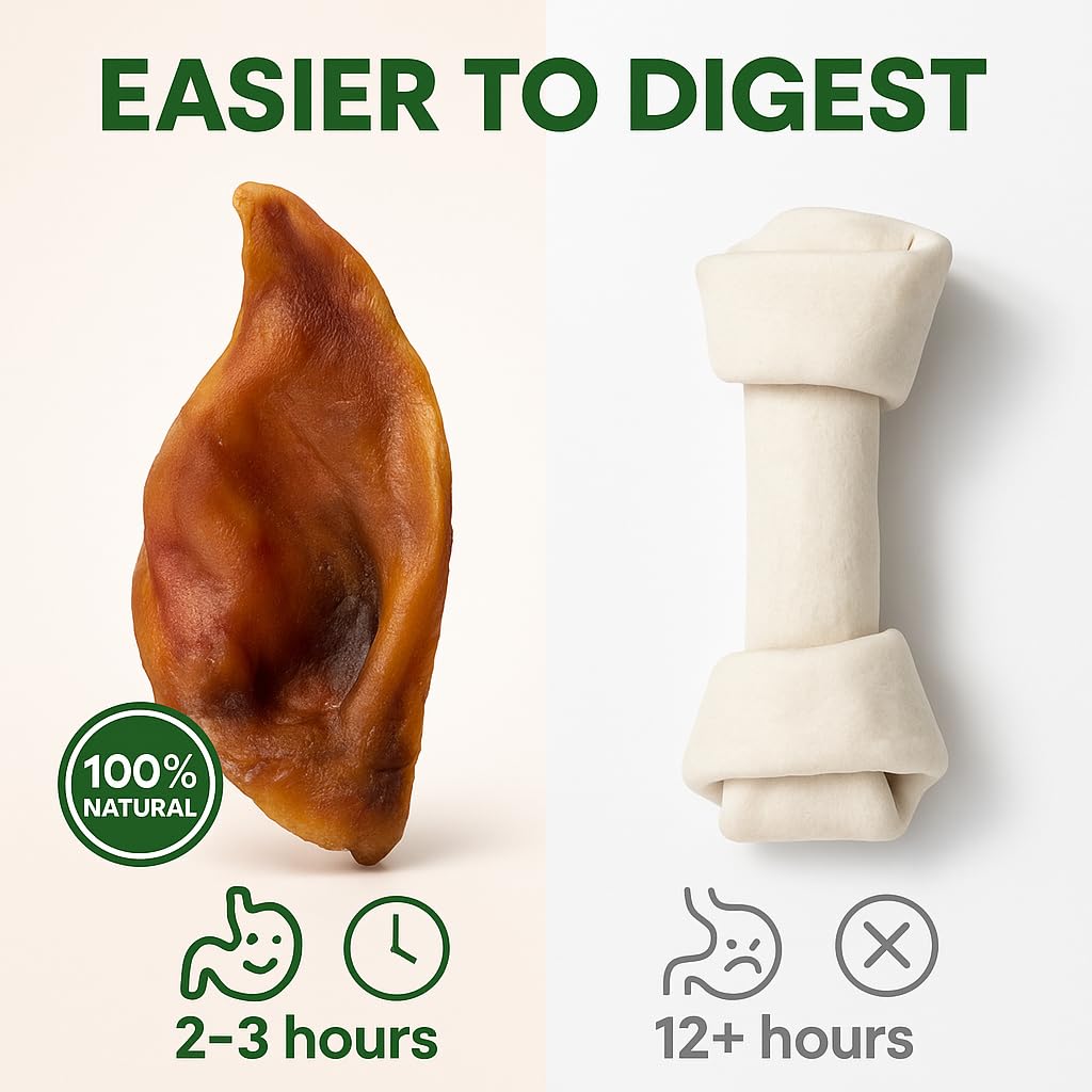 K9warehouse Pig Ears Strips - 32oz USA Packed - Natural Bulk Pig Ear Slivers - Treats Made of 100% Pure Pork - Alternative to Ra