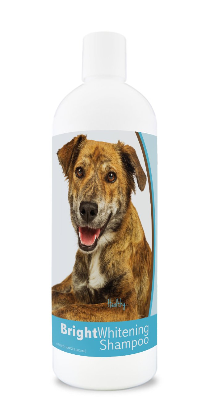 Healthy Breeds Plott Bright Whitening Shampoo 12 Oz