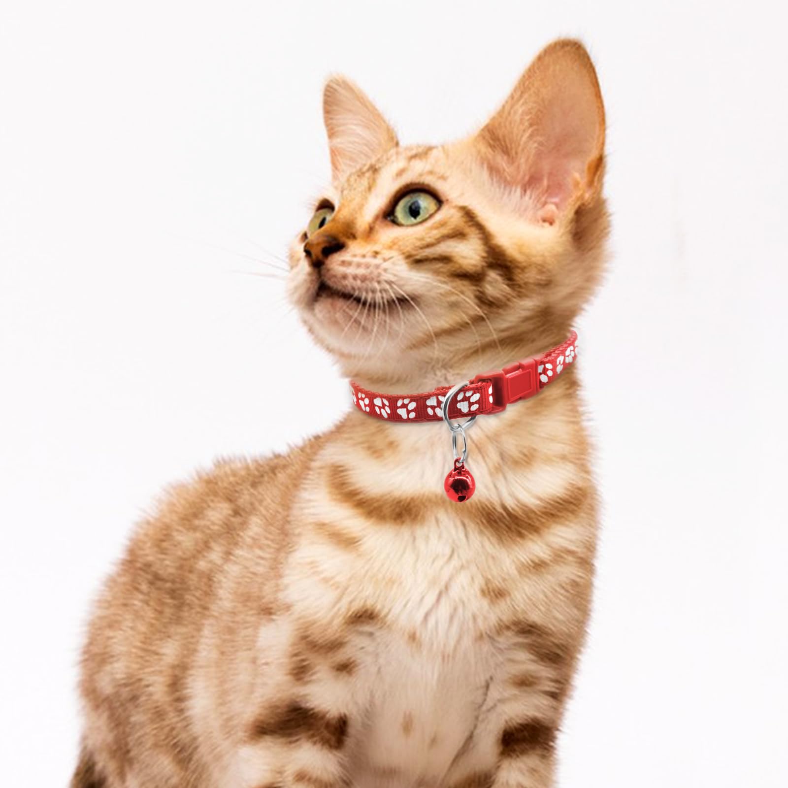 Quacc 6Pcs Puppy Collars, Puppy Whelping Collars Colourful Adjustable Dog Collar 19-32Cm Paw Print Collar With Bell For Small Do