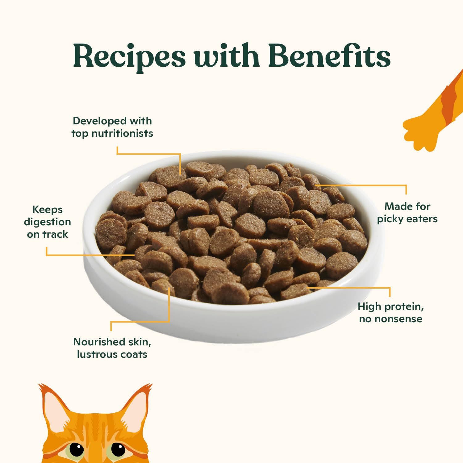 Made by Nacho Premium Dry Cat Kibble, Bone Broth Infused for Extra Cat Hydration, Grain-Friendly Dry Cat Food, Cage-Free Chicken