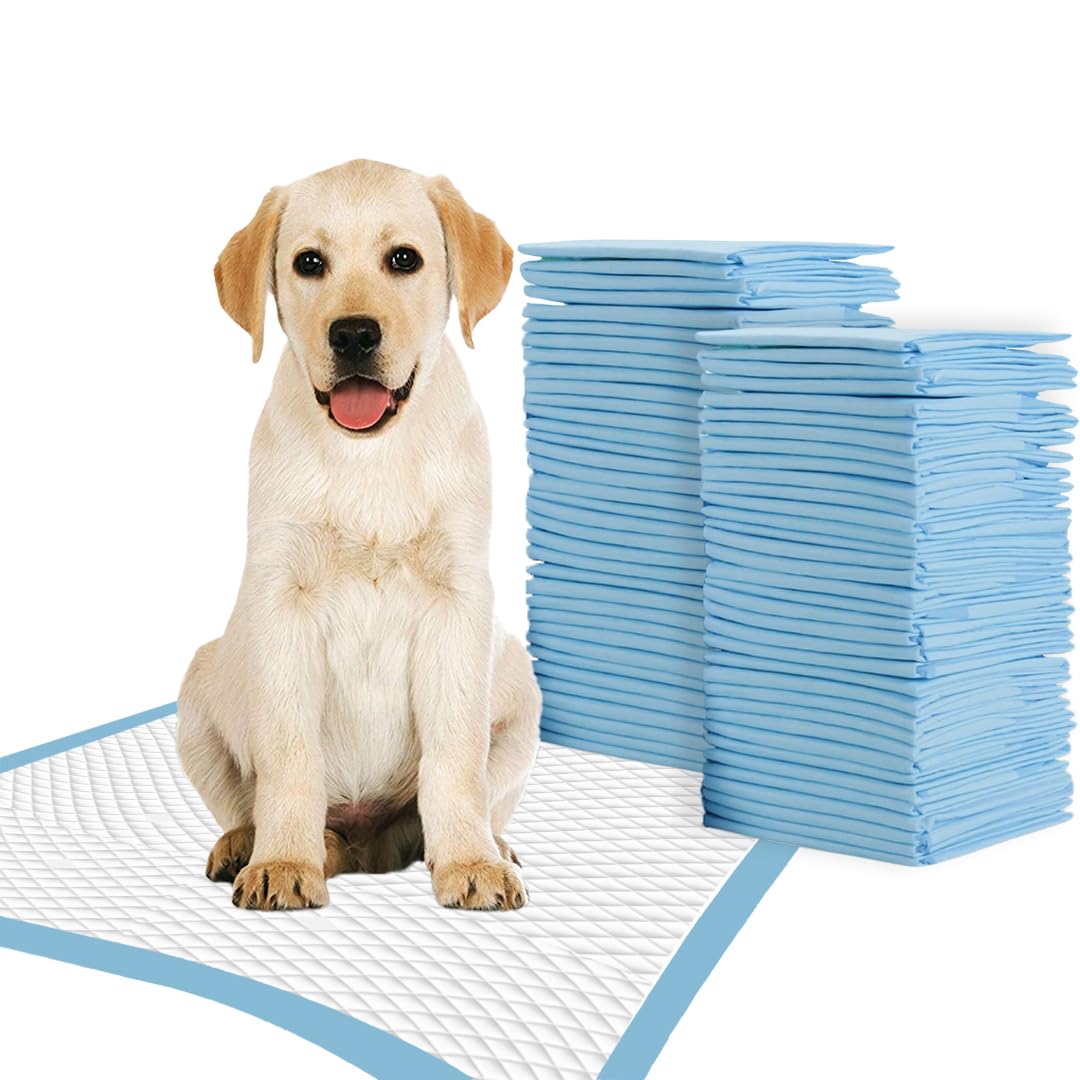 Tbm Dog And Puppy Pee Pads 100 Count, 23.6 X 23.6 Inches With Leak-Proof Quick-Dry Design For Potty Training, Premium Absorbency, Large Size Puppy Pads, Blue & White