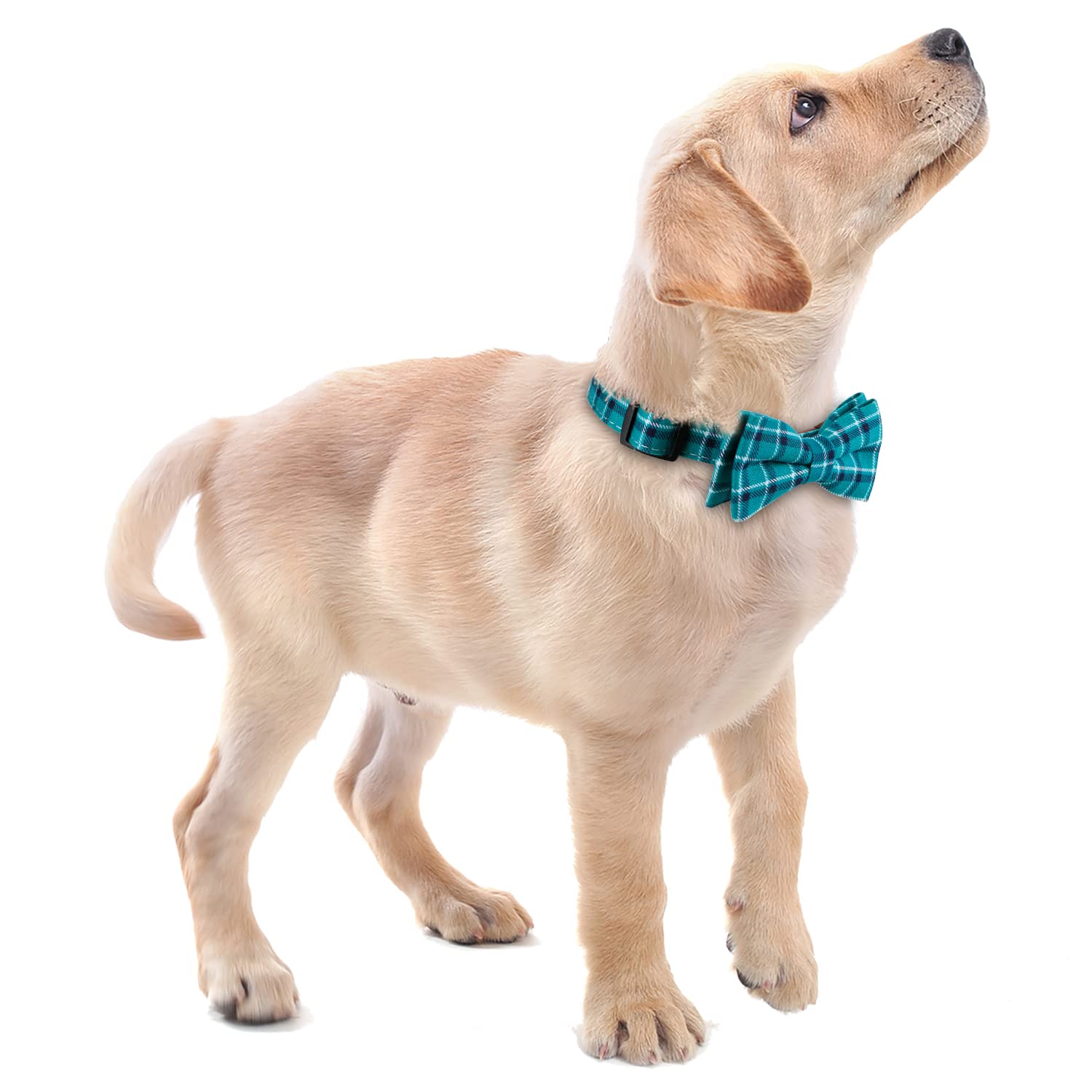 Faleela Soft &Comfy Bowtie Dog Collar,Detachable And Adjustable Bow Tie Collar,For Small Medium Large Pet (Small (Pack Of 1), Gr