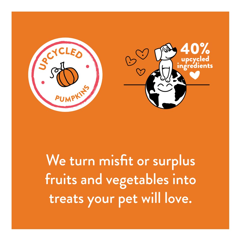Shameless Pets Soft-Baked Dog Treats, Pumpkin Nut Partay - Natural & Healthy Dog Chews for Digestive Support with Fiber - Made i