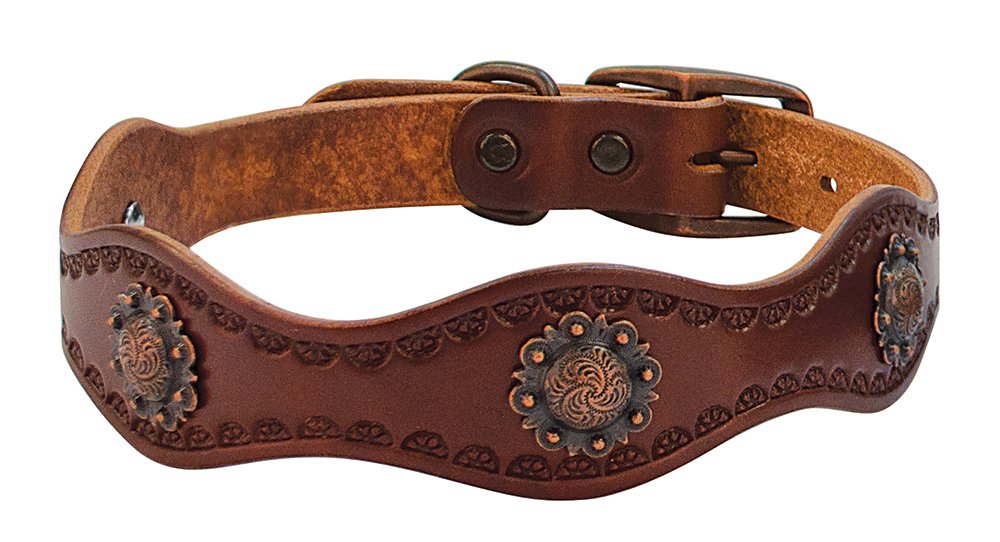 Weaver Leather Sundance Dog Collar, 1 X 21-Inch, Brown
