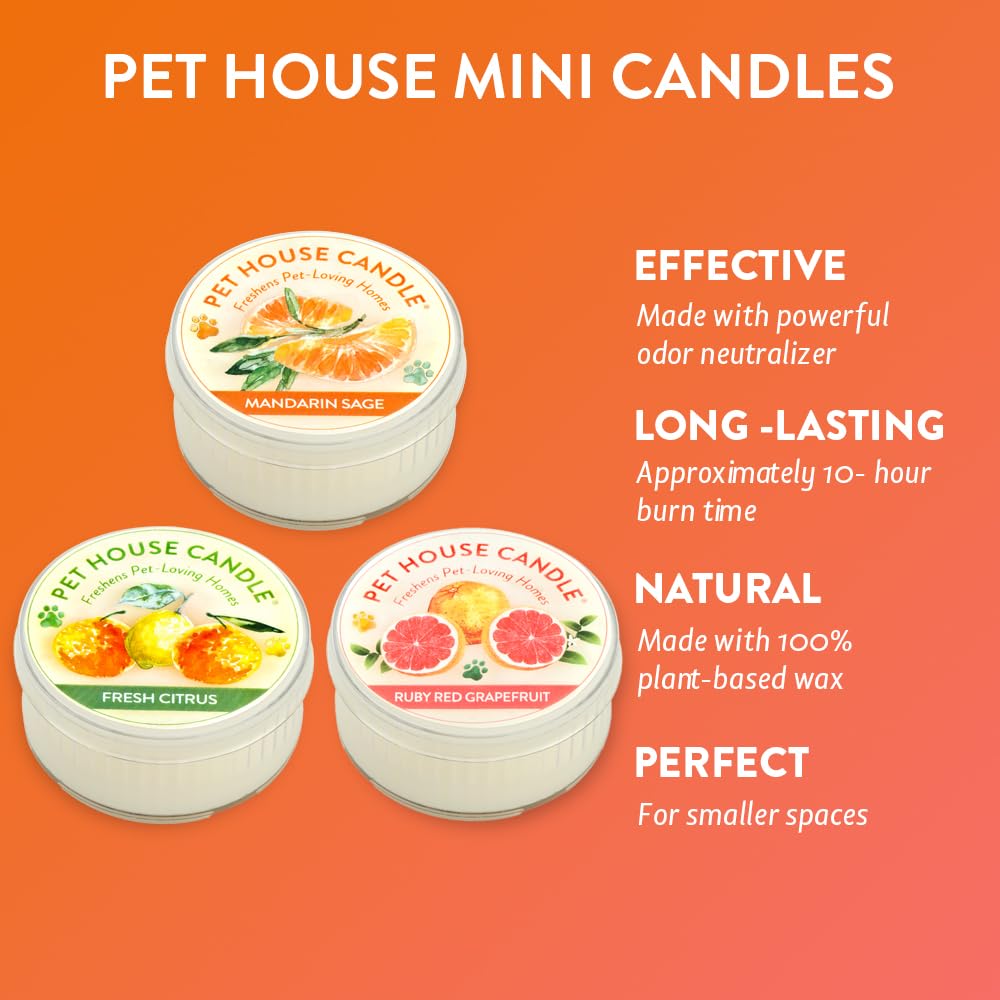 One Fur All Pet House Mini Candles Made With Natural Soy Wax, Plant Based, Pet Friendly Scented Candles, Citrus Variety Pack Of