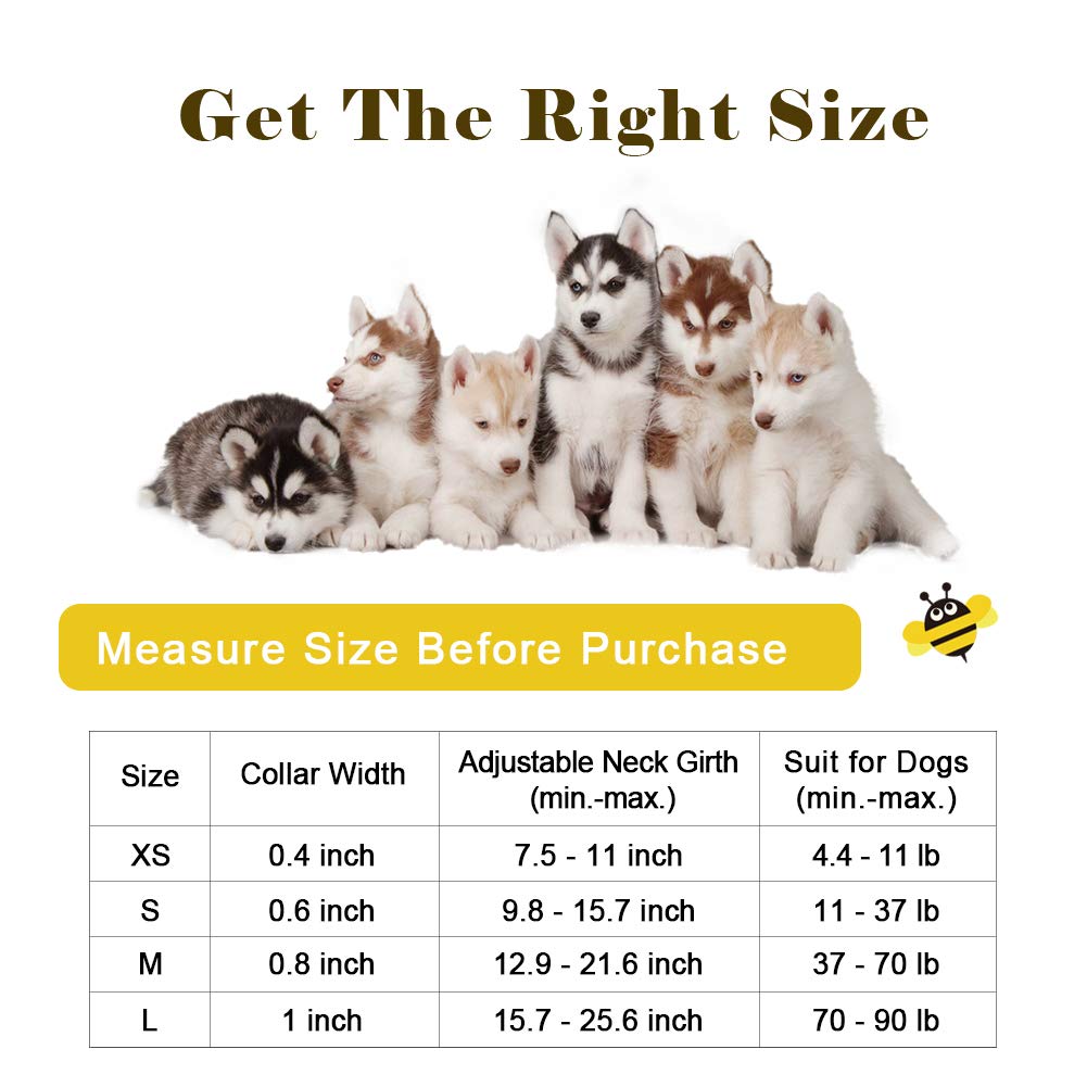 Qqpets Adjustable Soft Dog Collar: Print Flower Pink Multicolor Cute Patterns For Xs Small Medium Large Pet Girl Boy Puppy Walking Running Training (Xs, Yellow Bee)