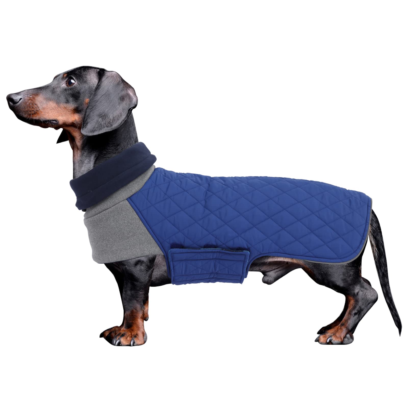 Geyecete Dachshund Coat,Dachshund Winter Coat,Warm Dachshund Coat Waterproof Windproof, High Neckine String Holes Miniature Dach