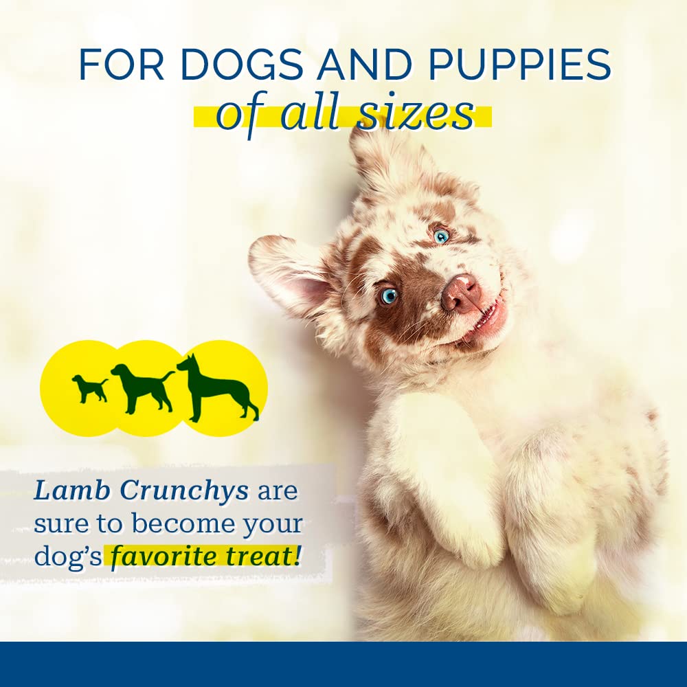 Pet Center, Inc. PCI Lamb Crunchys Raw Dehydrated Lamb Lungs Dog Treats, 3 Ounce Pack