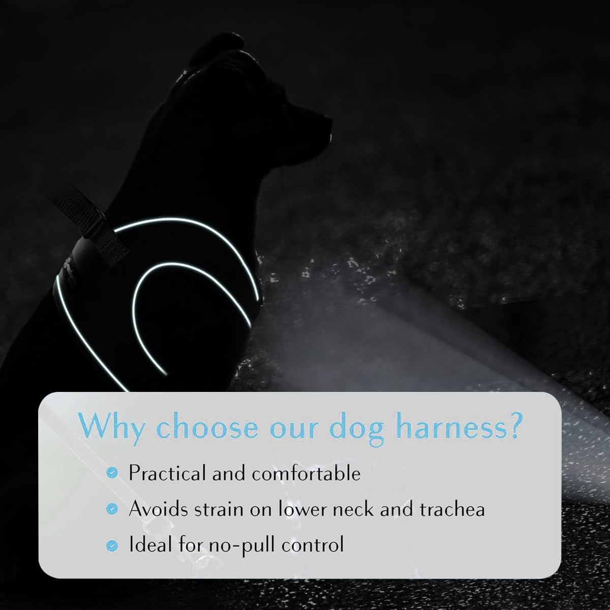 Comfort Fit Step-In Christmas Dog & Puppy Harness - Comfortable All Weather Dog Vest Harness: Adjustable, Soft Padded, Easy To P