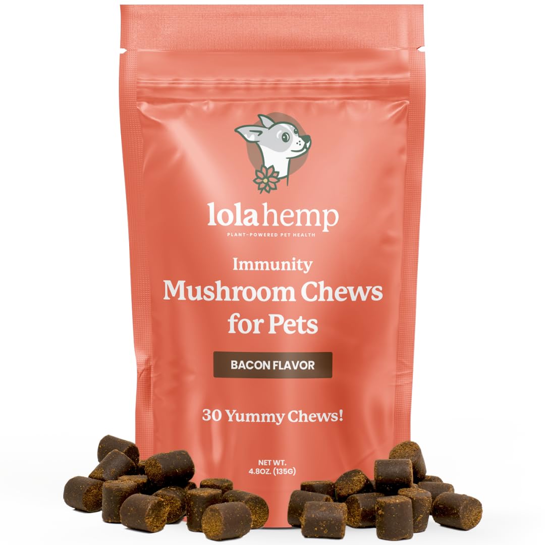 Lolahemp Mushroom Supplement for Dogs - Tasty Chews with Organic Mushroom Complex for Immune System & Cognitive Health - Turkey 