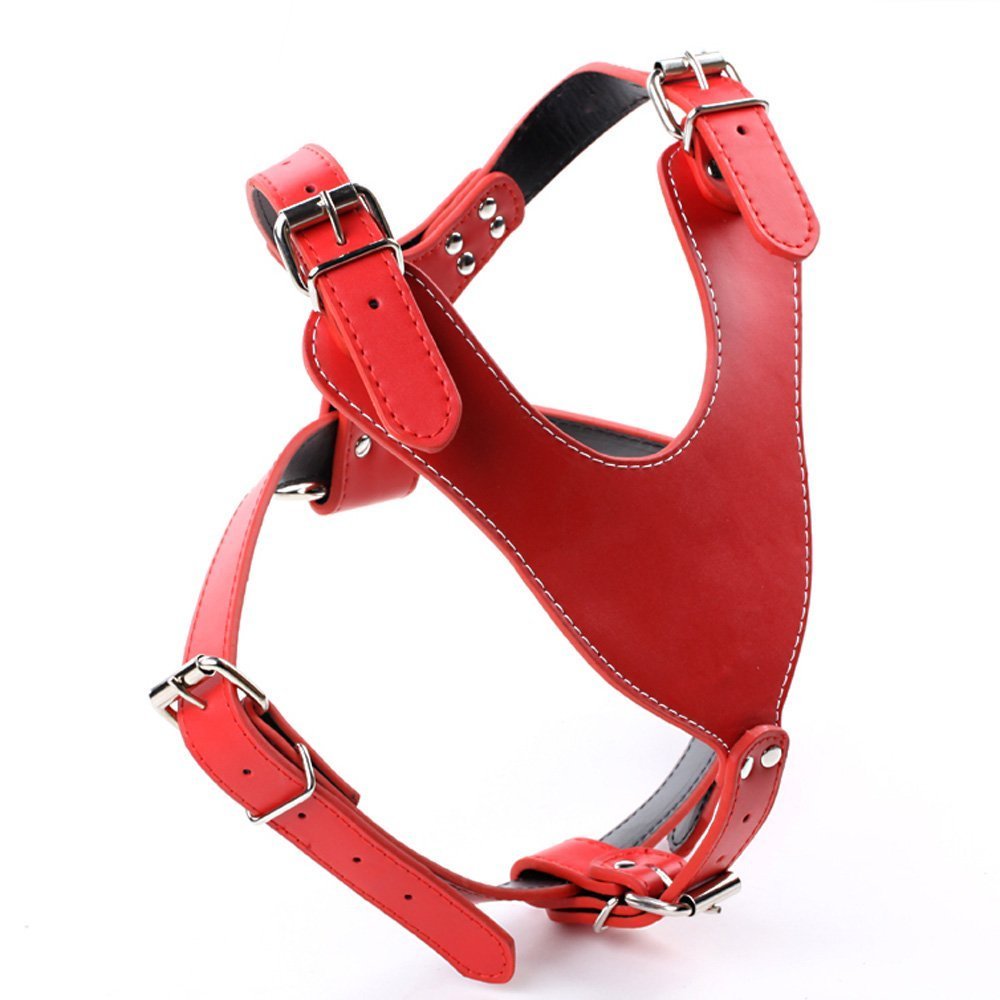 Dogs Kingdom 24'-32' Soft Leather Dog Harness&Leash Set Large For Pit Bull, Boxer, Bull Terrier