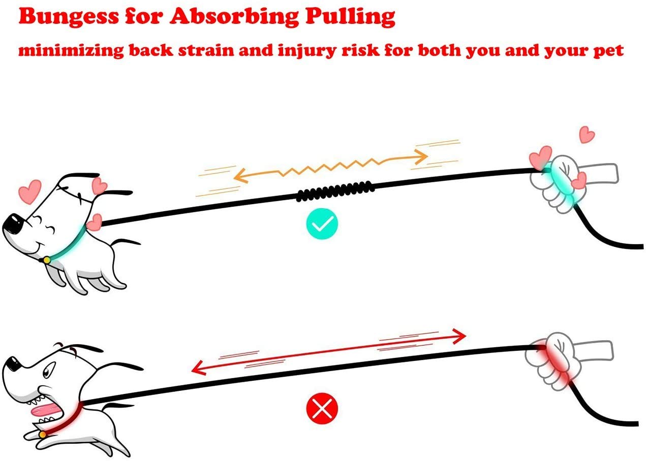 U-Pick Dual Dog Leash,Double Dog Leash,Shock Absorbing Reflective Bungee For Two Dogs,360 Swivel No Tangle Walking Leash With Wa