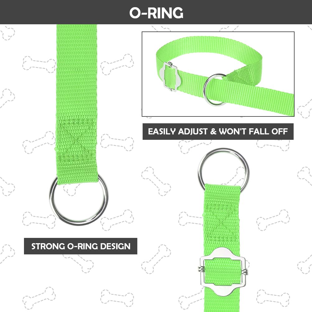 Homimp Slip Lead Dog Leash 6 Ft-8 Pcs Bulk Colors Kennel Control Leashes For Small Medium Large Dogs Puppy Animal Rescue, Groomi