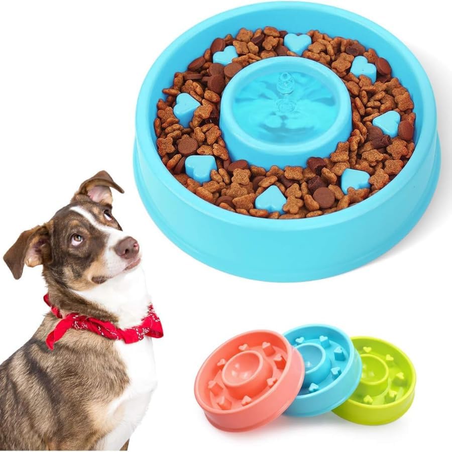 Dog Trust Slow Feeder Dog Bowls Slow Feeding Dog Bowl Small Medium Breed Dog Bowl Slow Eating Dog Slow Feeder Bowl Puppy Dog Puz