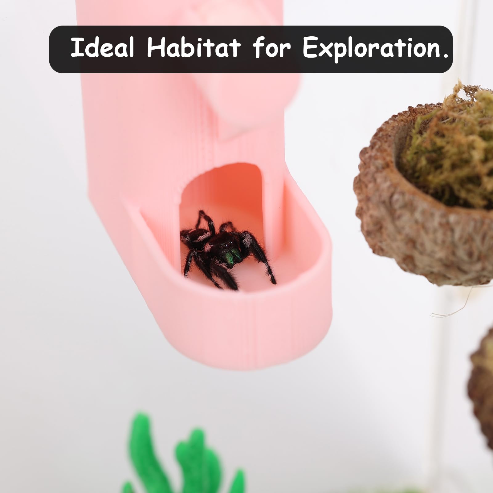Daerky Small Animal Water Feeder, Magnetic Hanging Feeder & Hidden Cave - Accessories For Jumping Spiders, Wolf Spiders, Mantise