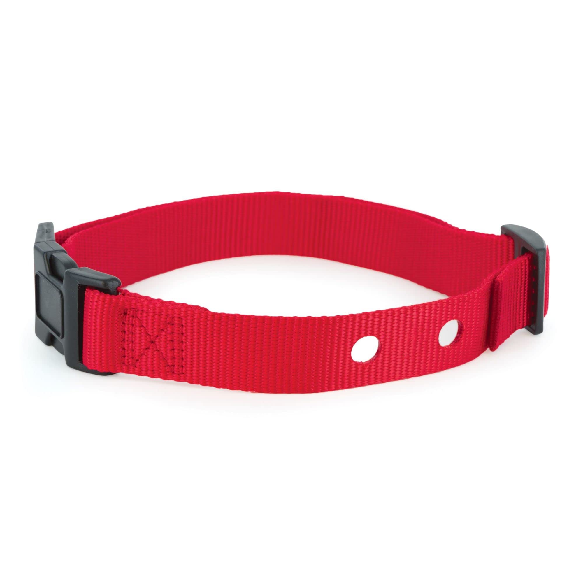 Petsafe 1 Inch Replacement Collar Strap With 2 Holes, For Wireless Fence And In-Ground Fence Collars - For Dogs, Red