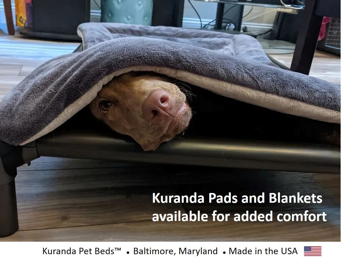 Kuranda Elevated Indoor Bed - Walnut Pvc - Toy - 25' X 18' - Cordura - Gold