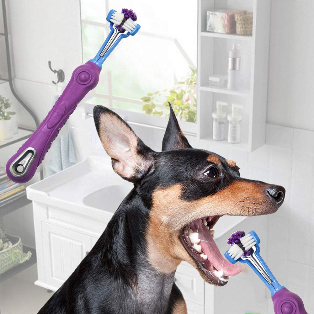 Orgrimmar 3-Sided Pet Toothbrush Dog Toothbrush Removing Bad Breath Tartar Cleaning Mouth Pet Dental Care Cat Cleaning Mouth (Pa