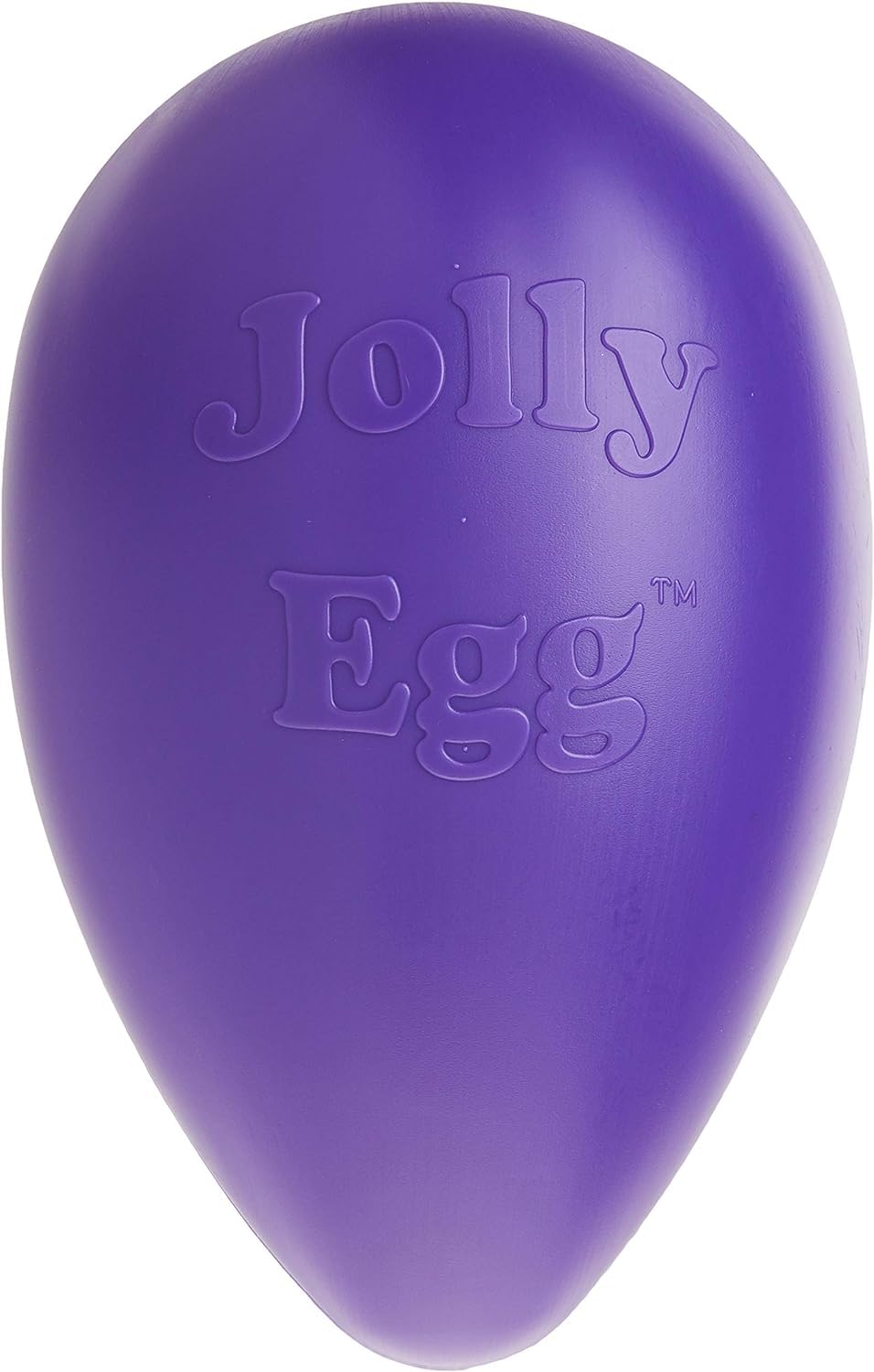 Jolly Pets Jolly Egg Plastic Dog Chew Toy 8 Inch Purple