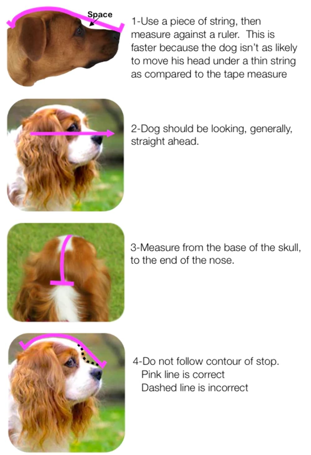 Outfox Field Guard Size S - Vet-Recommended Dog Safety Mask For Foxtails, Grass Seeds, Bugs And Debris | Breathable, Lightweight