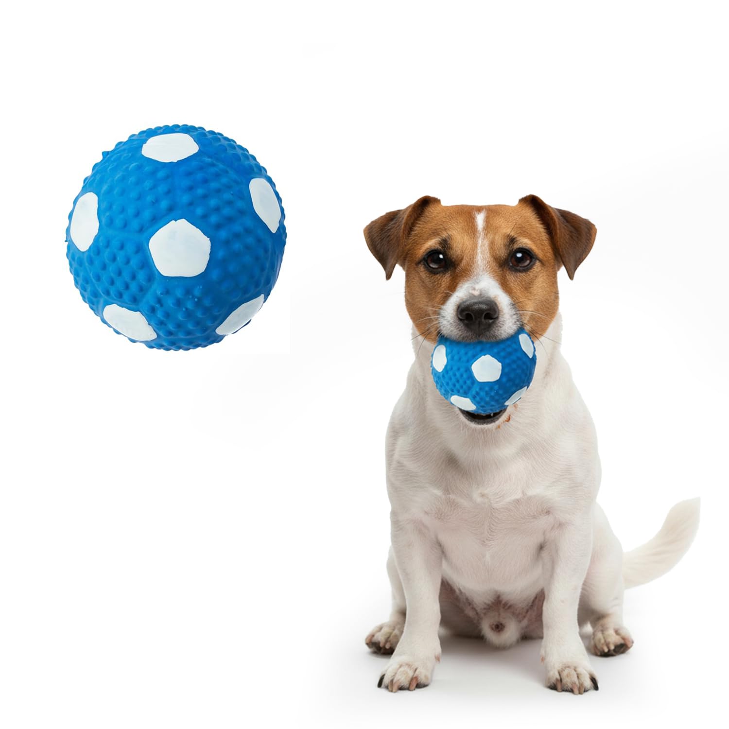 Amazon Basics Durable Soccer Ball Squeaky Dog Toy | NonToxic Natural Latex Rubber | Dental Texture | Water Play Friendly | For 