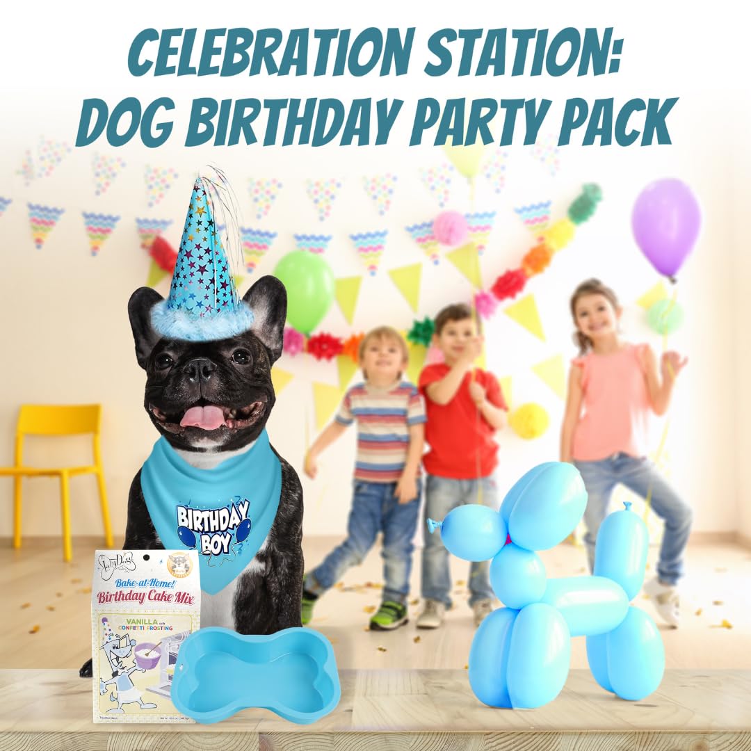 Jt Pet Dog Birthday Boy Party Pack With Bandana, Star Spangled Party Hat With Adjustable Elastic, Tassels And Feathery Trim, Bir