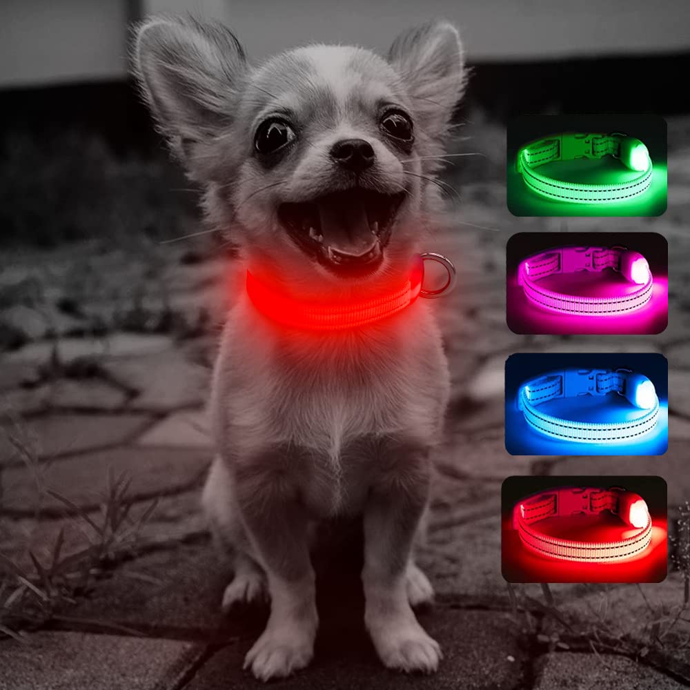 Domiglow Led Dog Collars Puppy Collar Usb Rechargeable Light Up Dog Collar Adjustable Reflective Pet Collars Keep Your Dogs And 