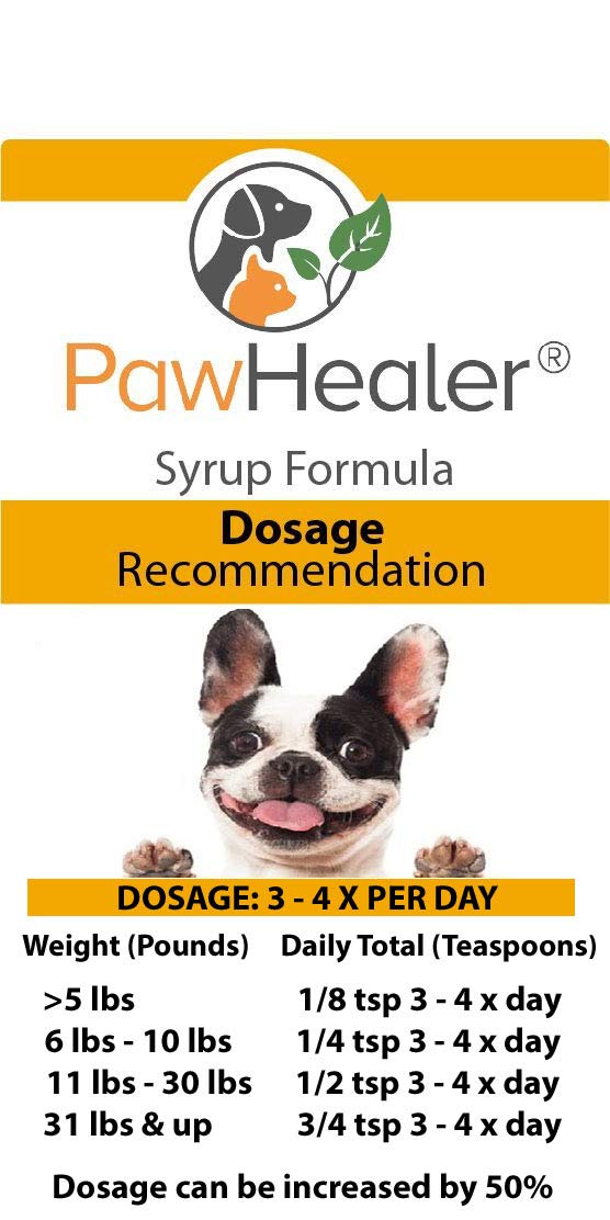 Trachea Soother Syrup BUNDLE with Trachea Support: Phlegm Heat - Natural Herbal Remedy for Symptoms of Collapsed Trachea for Dog