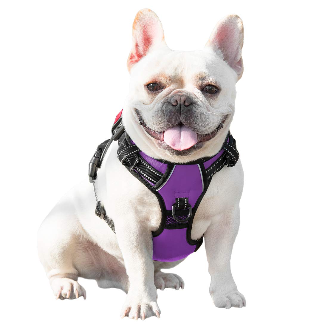 Phoepet Reflective Dog Harness Large Breed Adjustable No Pull Vest With With Handle 2 Metal Rings 3 Buckles [Easy To Put On & Take Off](Xl, Purple)
