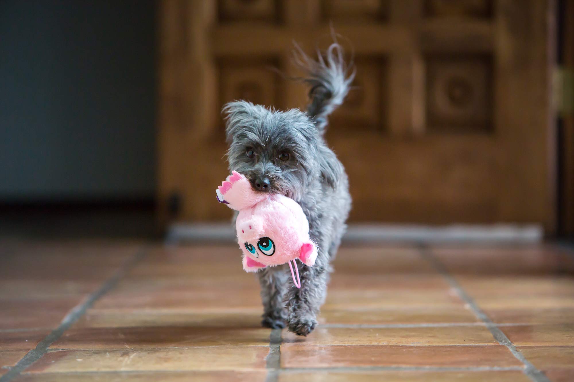 Multipet Knobby Noggins Fox Dog Toy